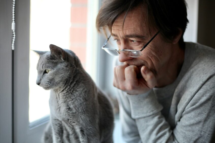 Senior man staring out the window with a gray cat.